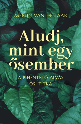 Merijn Van De Laar - Aludj, Mint Egy sember  A Pihentet Alvs si Titka