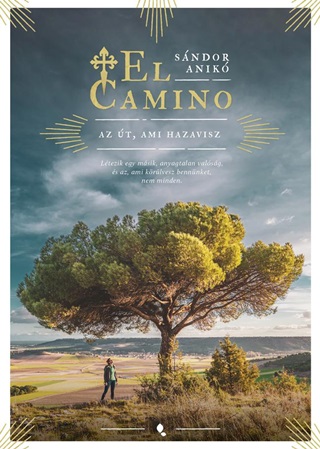 El Camino - Az t, Ami Hazavisz