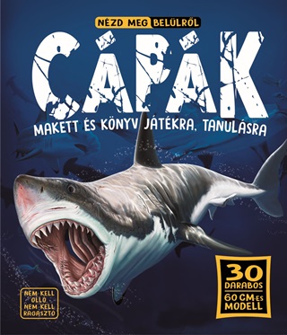 - Nzd Meg Bellrl - Cpk